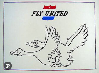 IMG_4073.jpeg IMG_4073.jpeg