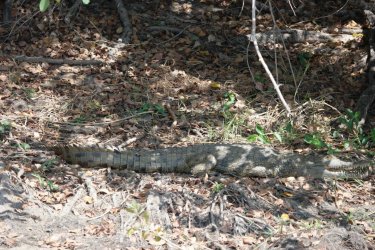 08021186.JPG 08021186.JPG