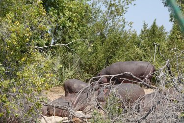 DSC08731.JPG DSC08731.JPG