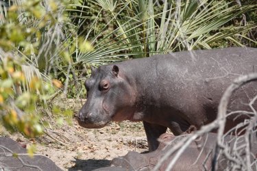 DSC08735.JPG DSC08735.JPG