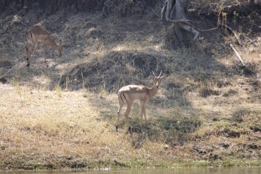 DSC08738.JPG DSC08738.JPG