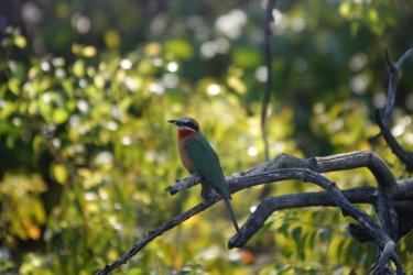 DSC08740.JPG DSC08740.JPG