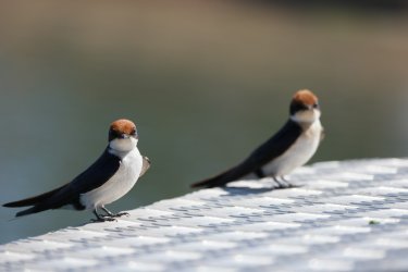 08021216.JPG 08021216.JPG