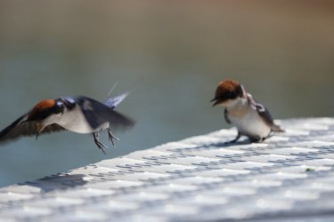 08021218.JPG 08021218.JPG