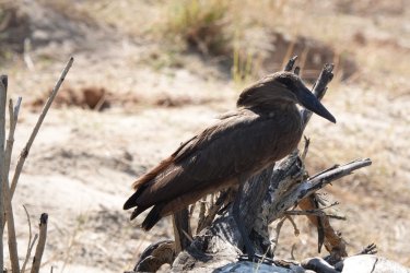 DSC08745.JPG DSC08745.JPG