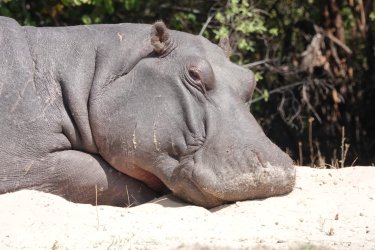 DSC08750.JPG DSC08750.JPG