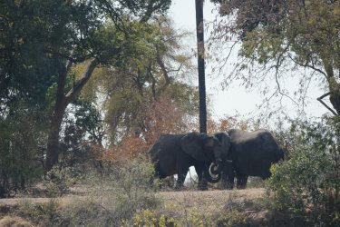 08021229.JPG 08021229.JPG