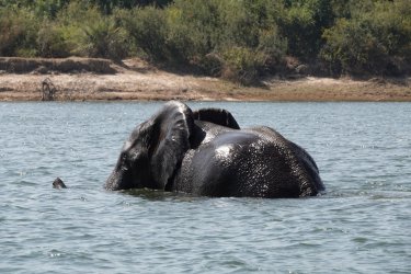 DSC08771.JPG DSC08771.JPG