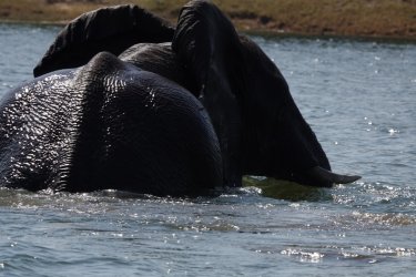 DSC08775.JPG DSC08775.JPG