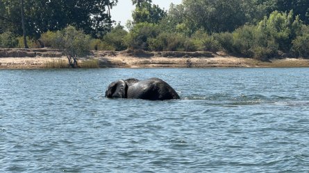 IMG_1619.JPG IMG_1619.JPG