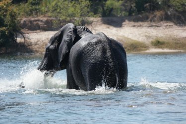 08021243.JPG 08021243.JPG