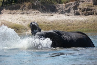 08021250.JPG 08021250.JPG