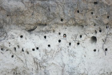 08021209.JPG 08021209.JPG