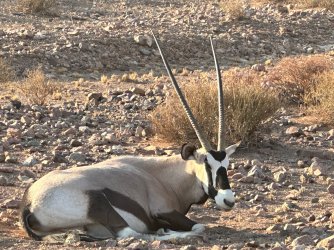 IMG_4078.jpeg IMG_4078.jpeg