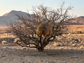 IMG_4081.jpeg IMG_4081.jpeg