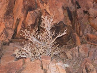 IMG_6754.jpeg IMG_6754.jpeg