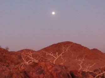 IMG_6765.jpeg IMG_6765.jpeg