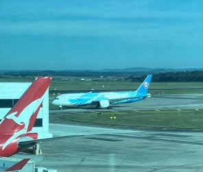 IMG_1637.jpeg IMG_1637.jpeg