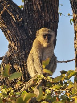 20240803_071504.jpg 20240803_071504.jpg