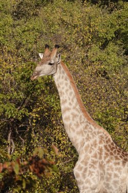 DSC08809.JPG DSC08809.JPG