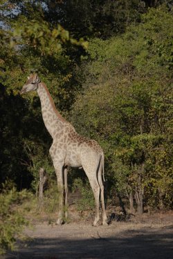 08031271.JPG 08031271.JPG