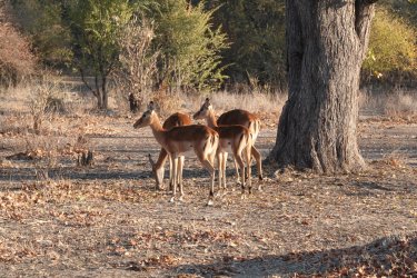 DSC08782.JPG DSC08782.JPG