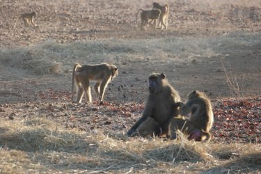 08031255.JPG 08031255.JPG