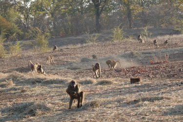 DSC08790.JPG DSC08790.JPG