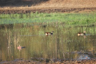 08031262.JPG 08031262.JPG