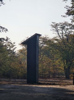 20240803_074512.jpg 20240803_074512.jpg