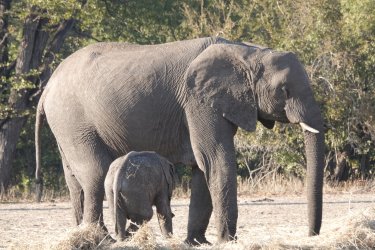 DSC08796.JPG DSC08796.JPG