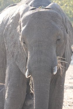 DSC08805.JPG DSC08805.JPG