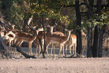 DSC08799.JPG DSC08799.JPG