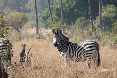 DSC08817.JPG DSC08817.JPG