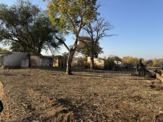 IMG_1686.JPG IMG_1686.JPG