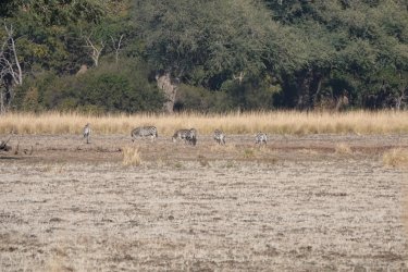 DSC08812.JPG DSC08812.JPG