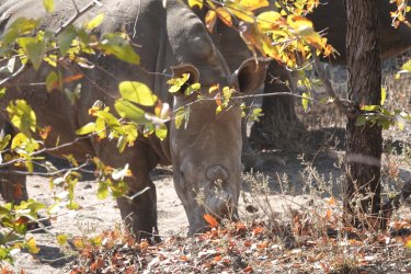 DSC08823.JPG DSC08823.JPG