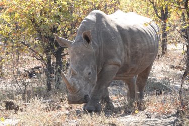 DSC08824.JPG DSC08824.JPG