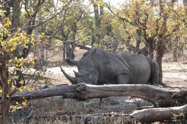 DSC08825.JPG DSC08825.JPG