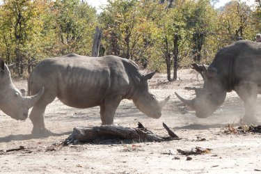 DSC08828.JPG DSC08828.JPG