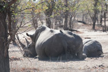 08031292.JPG 08031292.JPG