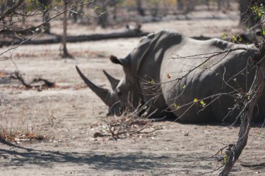 08031295.JPG 08031295.JPG