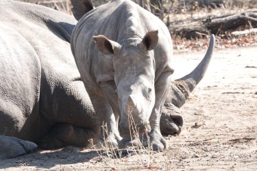 DSC08830.JPG DSC08830.JPG