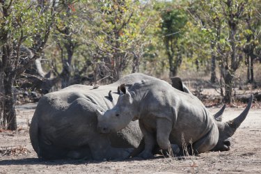 08031299.JPG 08031299.JPG