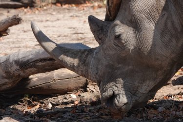 DSC08836.JPG DSC08836.JPG