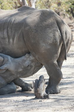 08031304.JPG 08031304.JPG