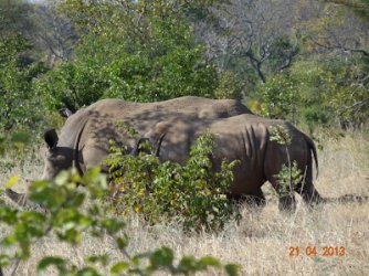 1724027564614.jpeg 1724027564614.jpeg