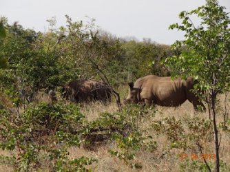 1724027586072.jpeg 1724027586072.jpeg