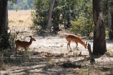 DSC08842.JPG DSC08842.JPG