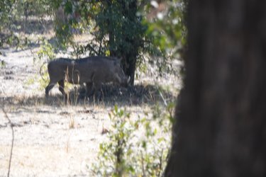 DSC08844.JPG DSC08844.JPG